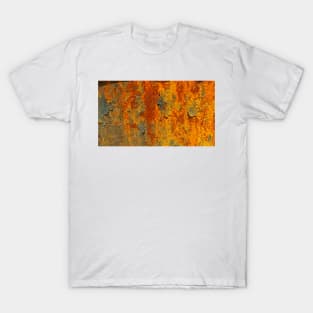 Natures RUST ART Patterns number THREE T-Shirt